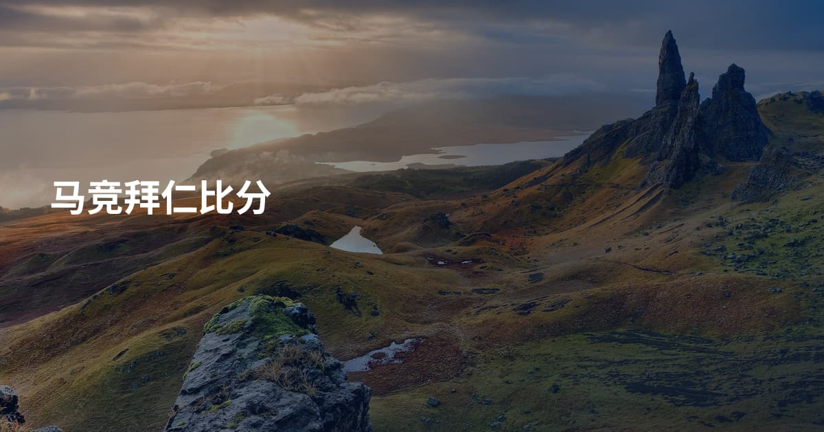 马竞拜仁比分