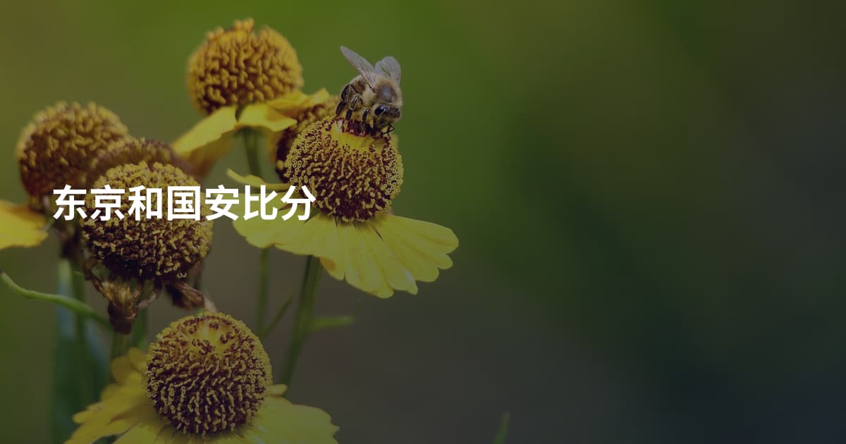 东京和国安比分