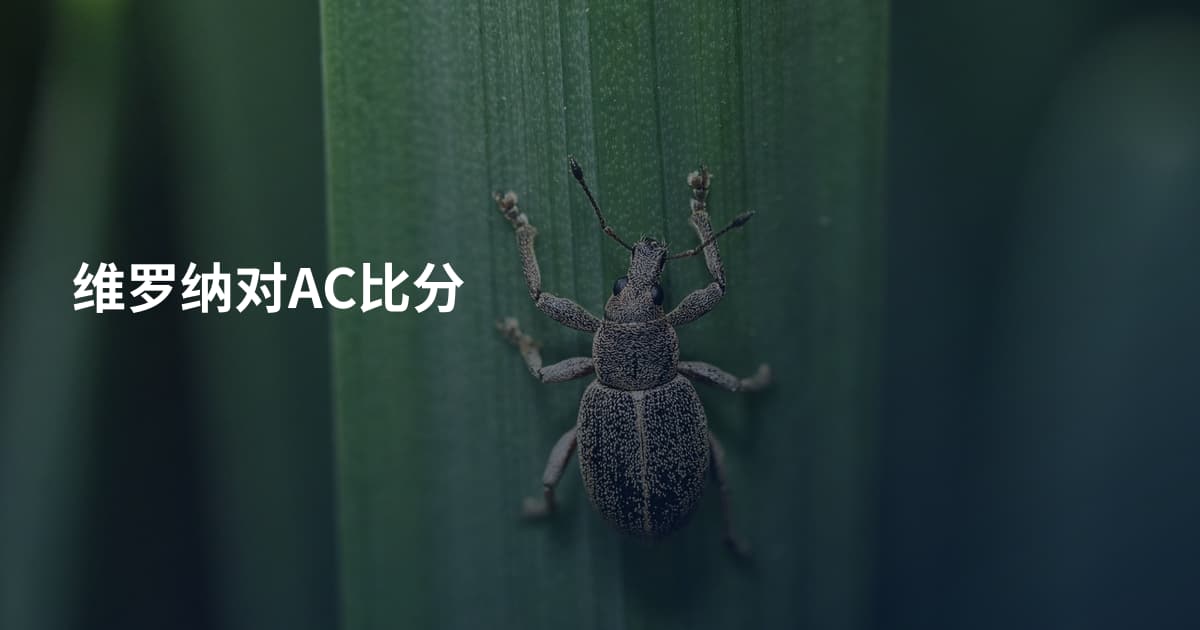 维罗纳对AC比分