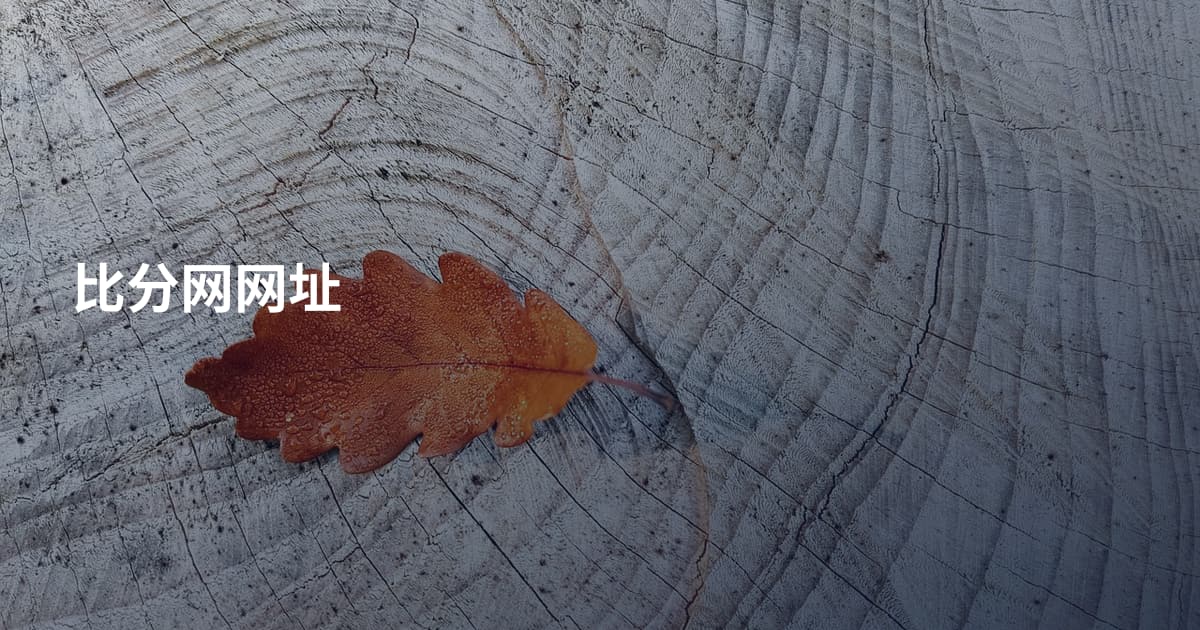 比分网网址