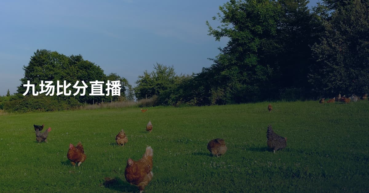 九场比分直播