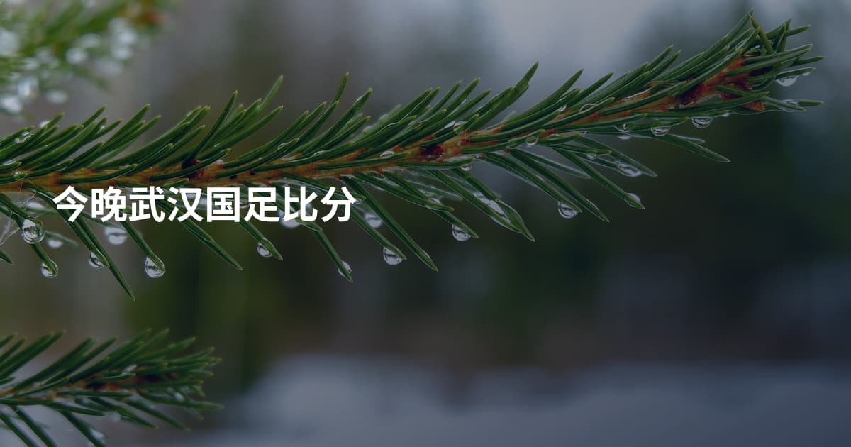 今晚武汉国足比分