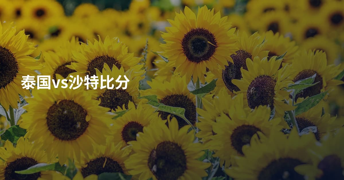 泰国vs沙特比分