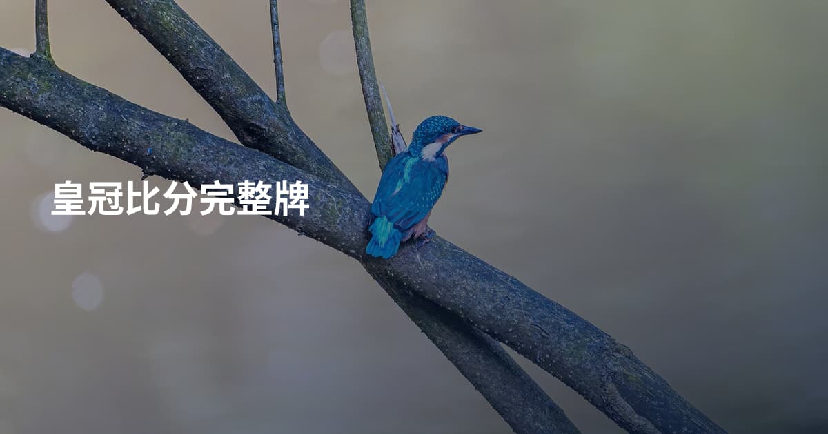 皇冠比分完整牌