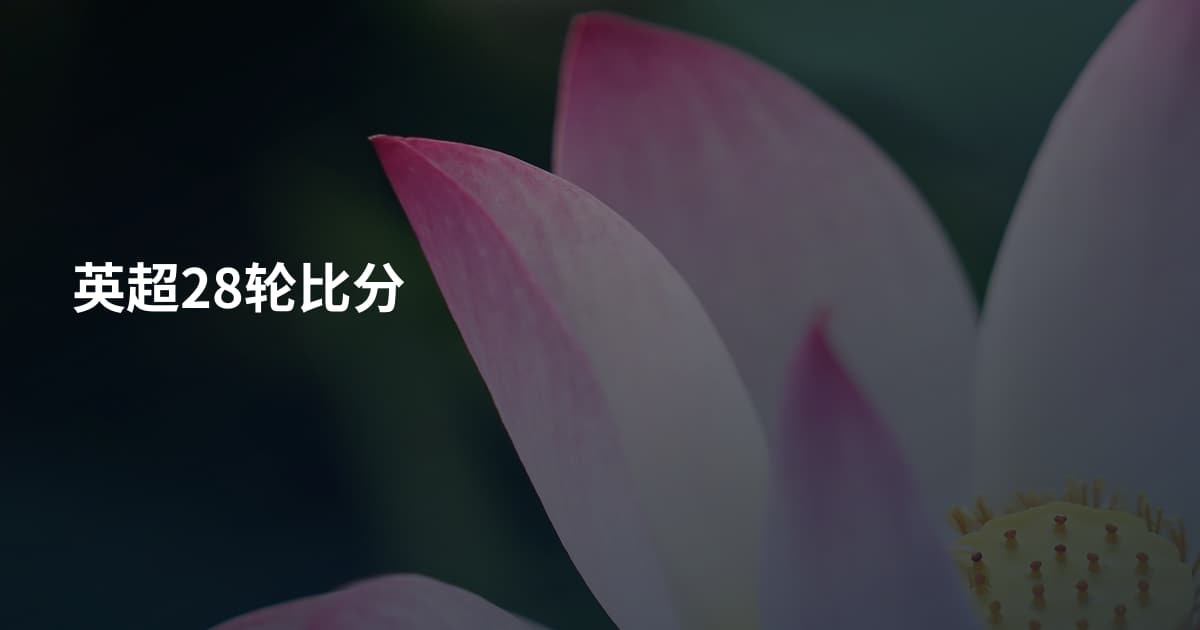 英超28轮比分