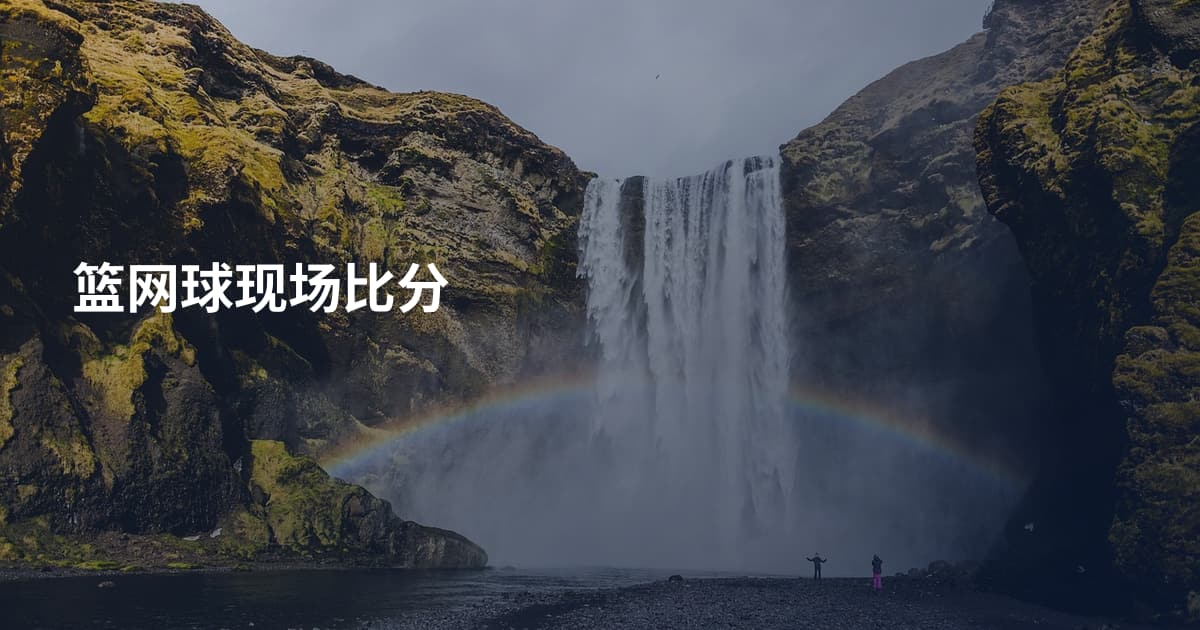 篮网球现场比分