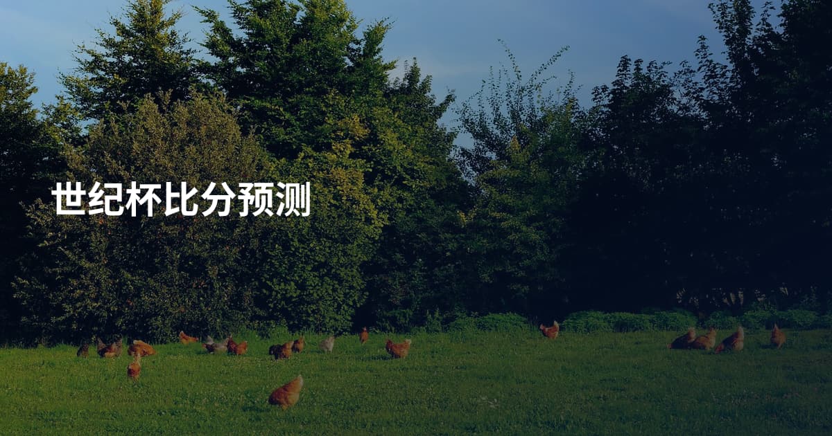 世纪杯比分预测