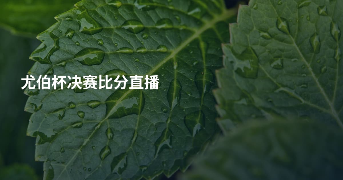 尤伯杯决赛比分直播