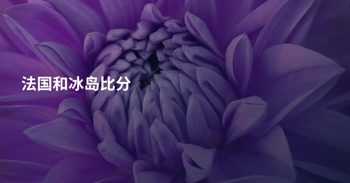 法国和冰岛比分