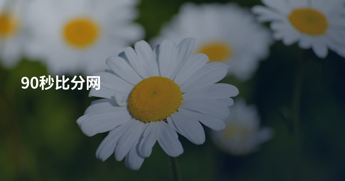 90秒比分网