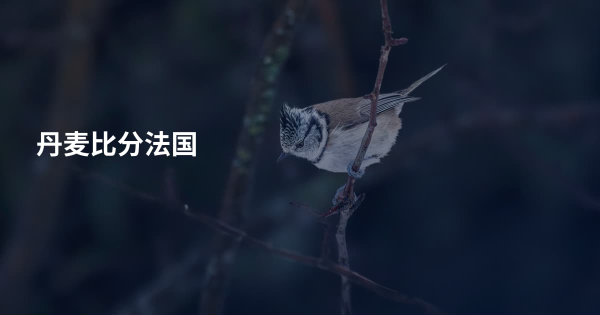 丹麦比分法国