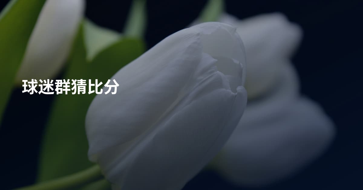 球迷群猜比分