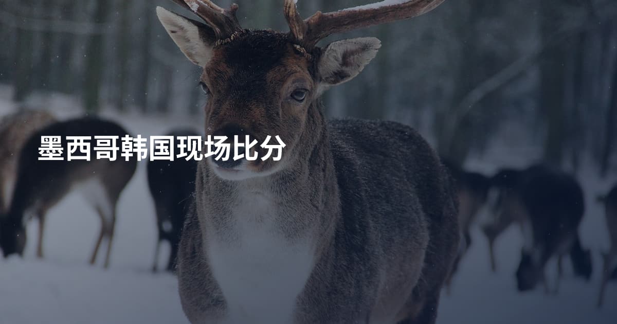 墨西哥韩国现场比分