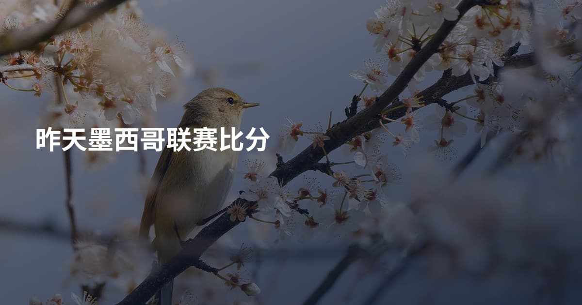 昨天墨西哥联赛比分