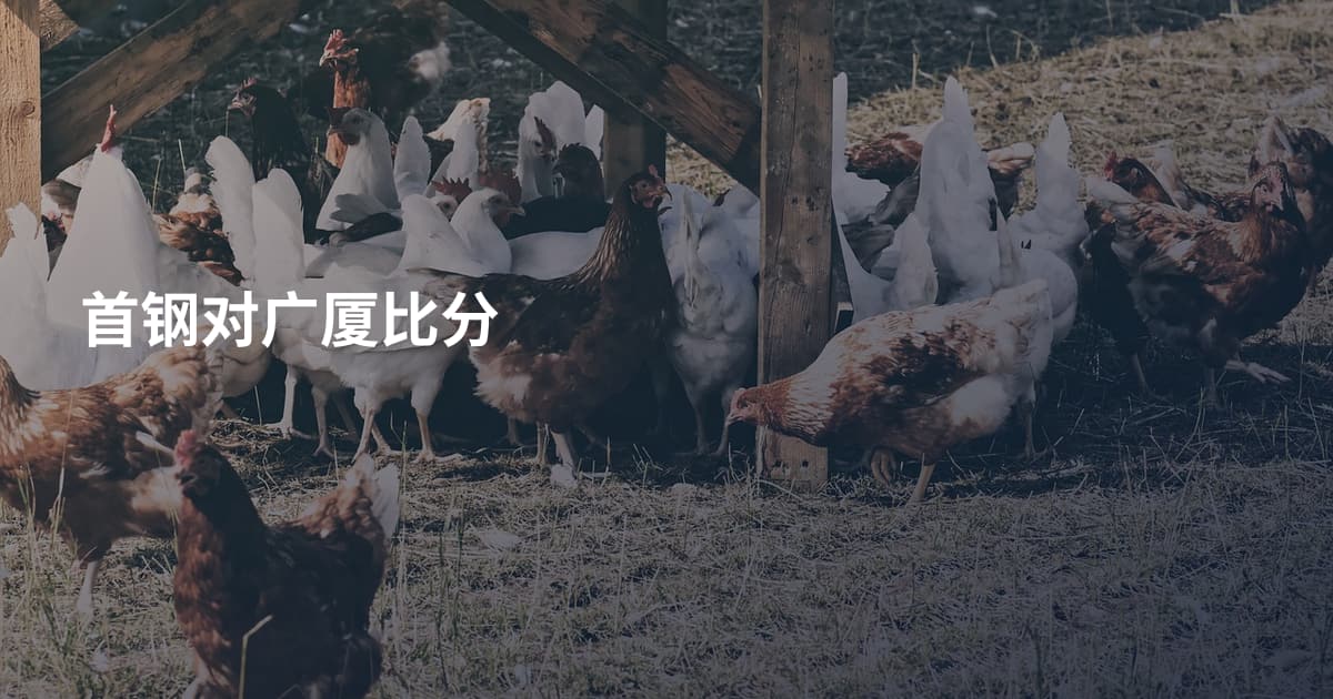 首钢对广厦比分