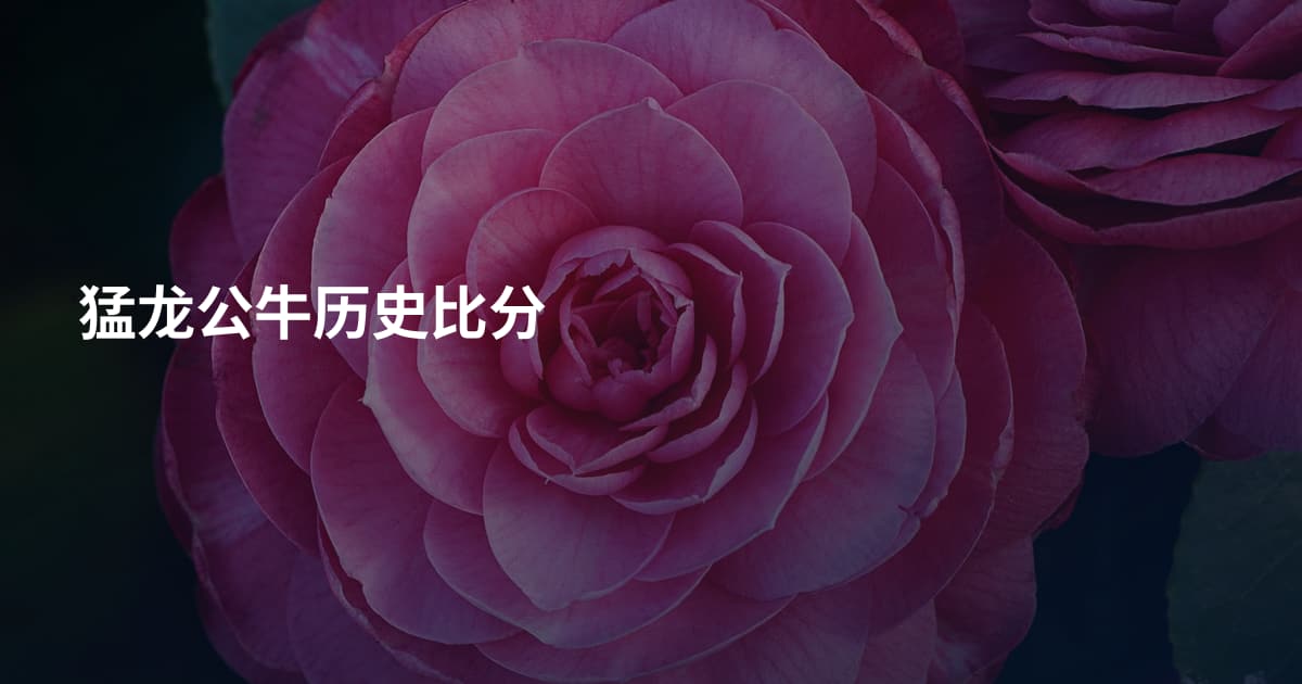 猛龙公牛历史比分