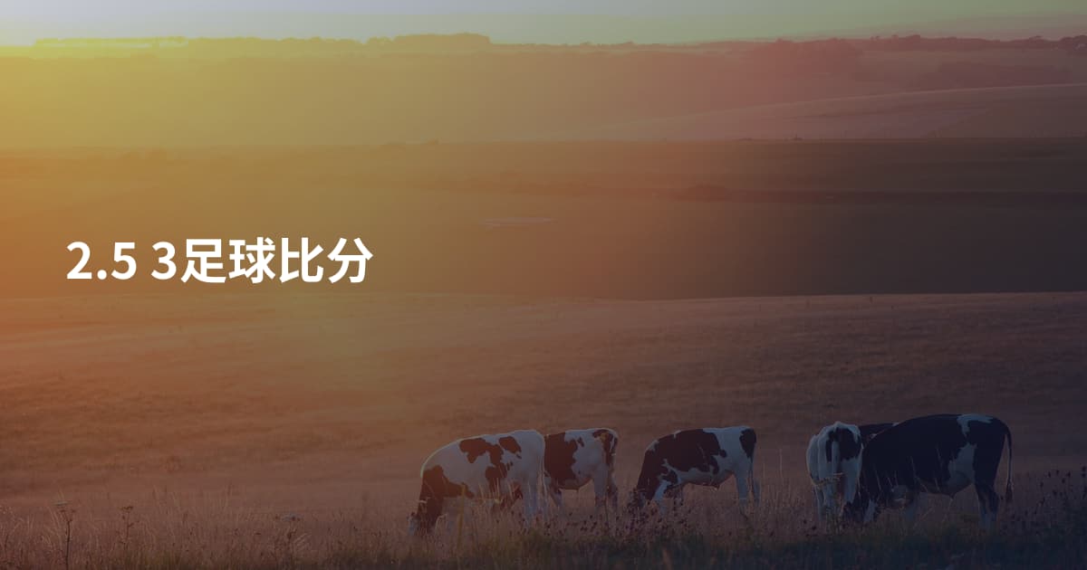 2.5 3足球比分