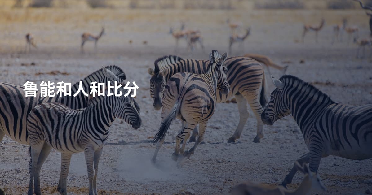 鲁能和人和比分