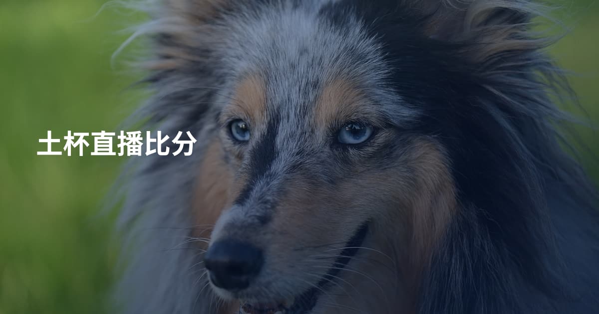 土杯直播比分