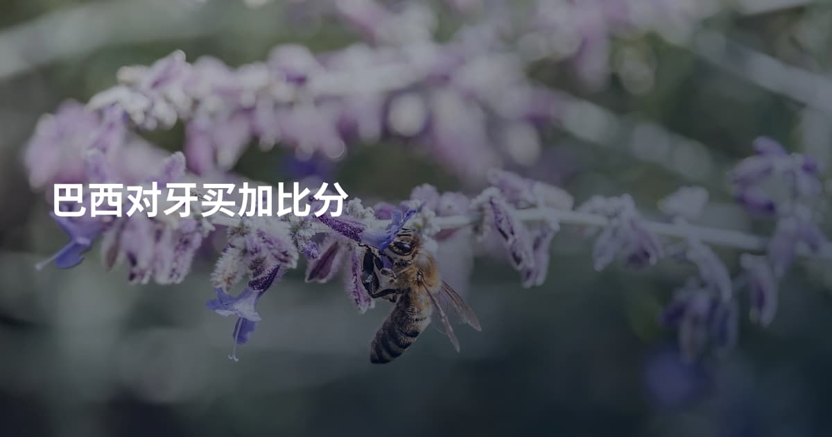 巴西对牙买加比分