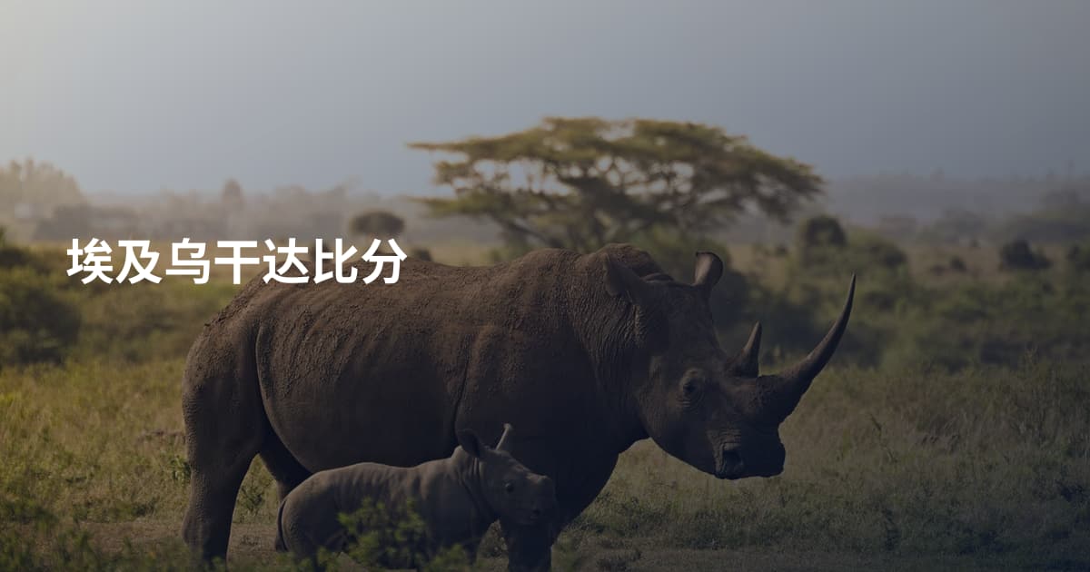 埃及乌干达比分