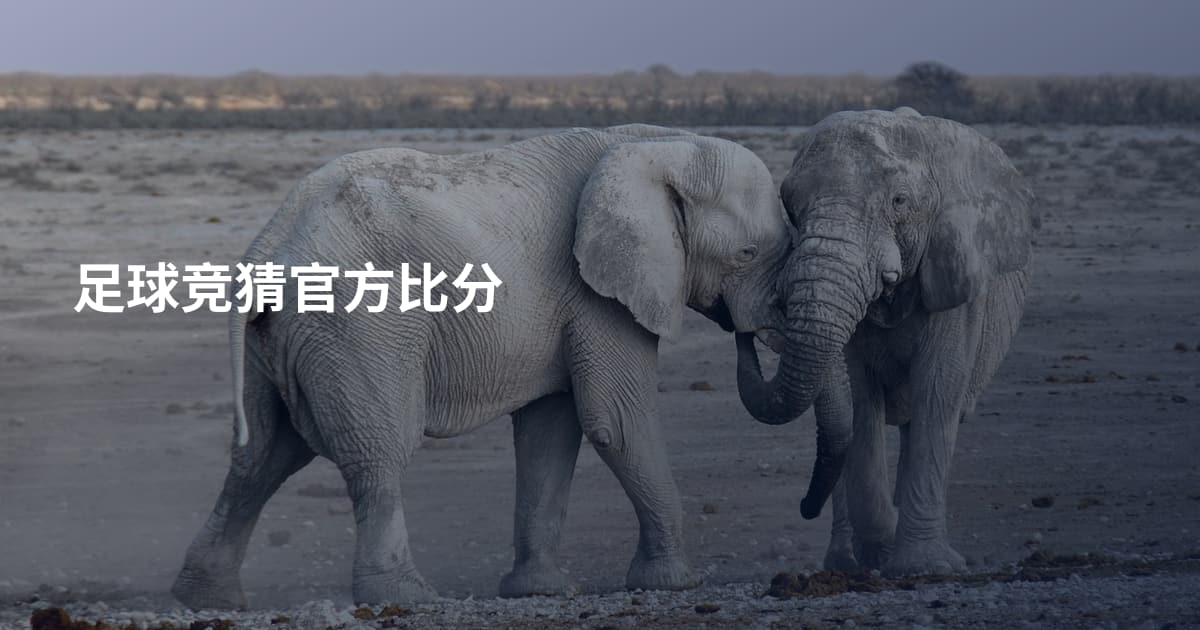 足球竞猜官方比分