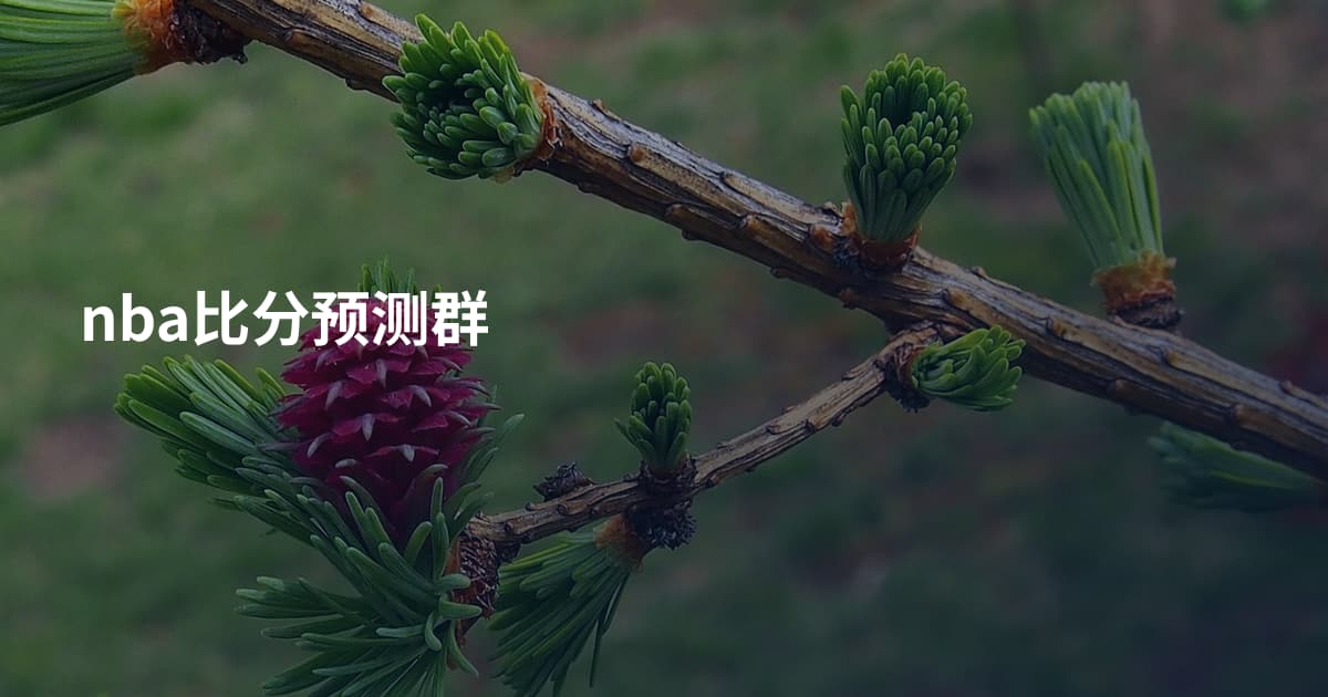 nba比分预测群