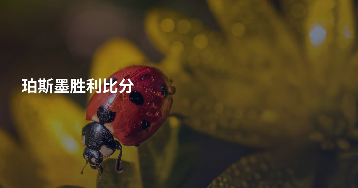 珀斯墨胜利比分