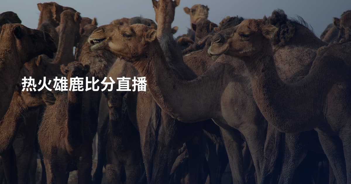 热火雄鹿比分直播