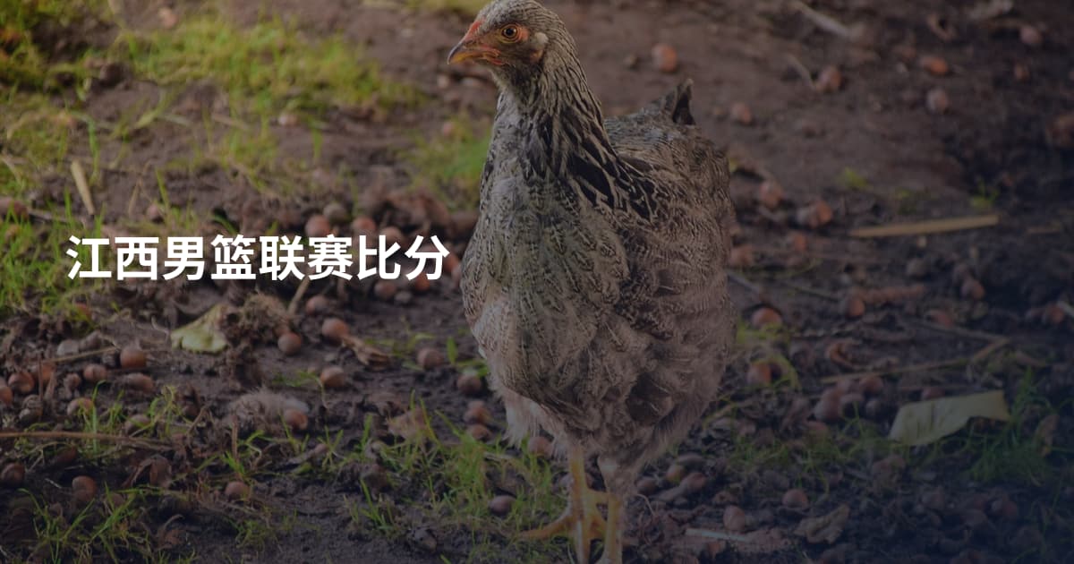 江西男篮联赛比分
