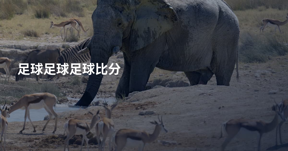 足球足球足球比分