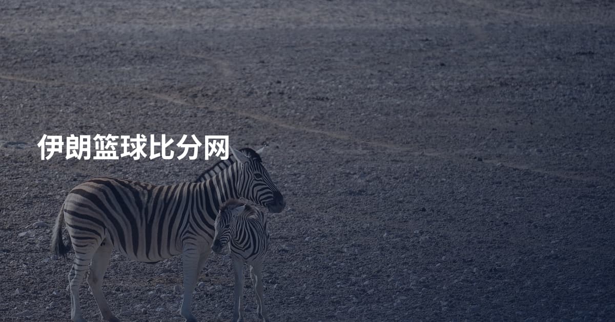 伊朗篮球比分网