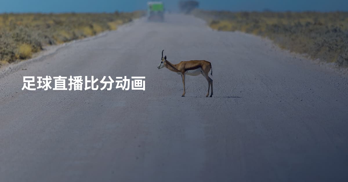 足球直播比分动画