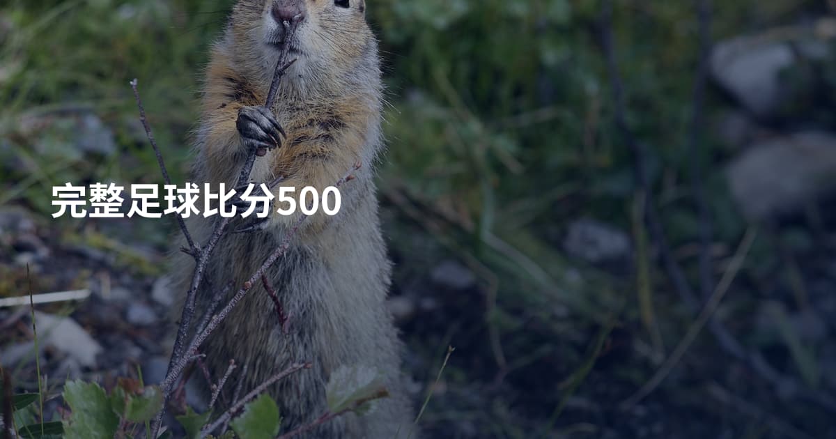 完整足球比分500