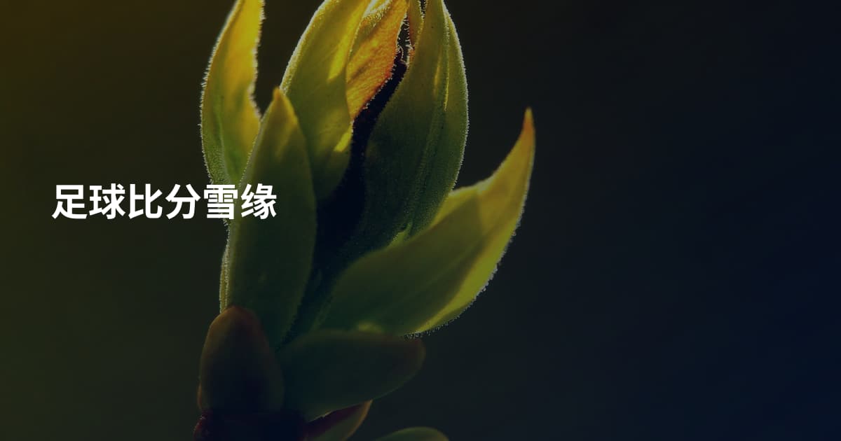 足球比分雪缘