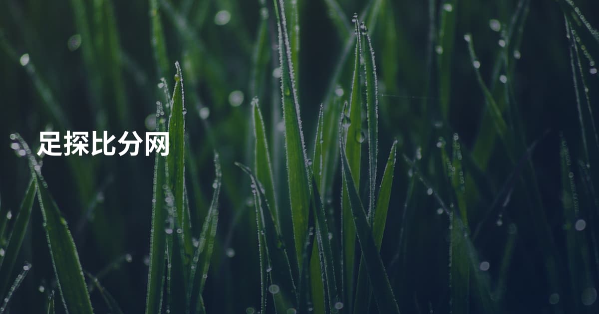 足探比分网