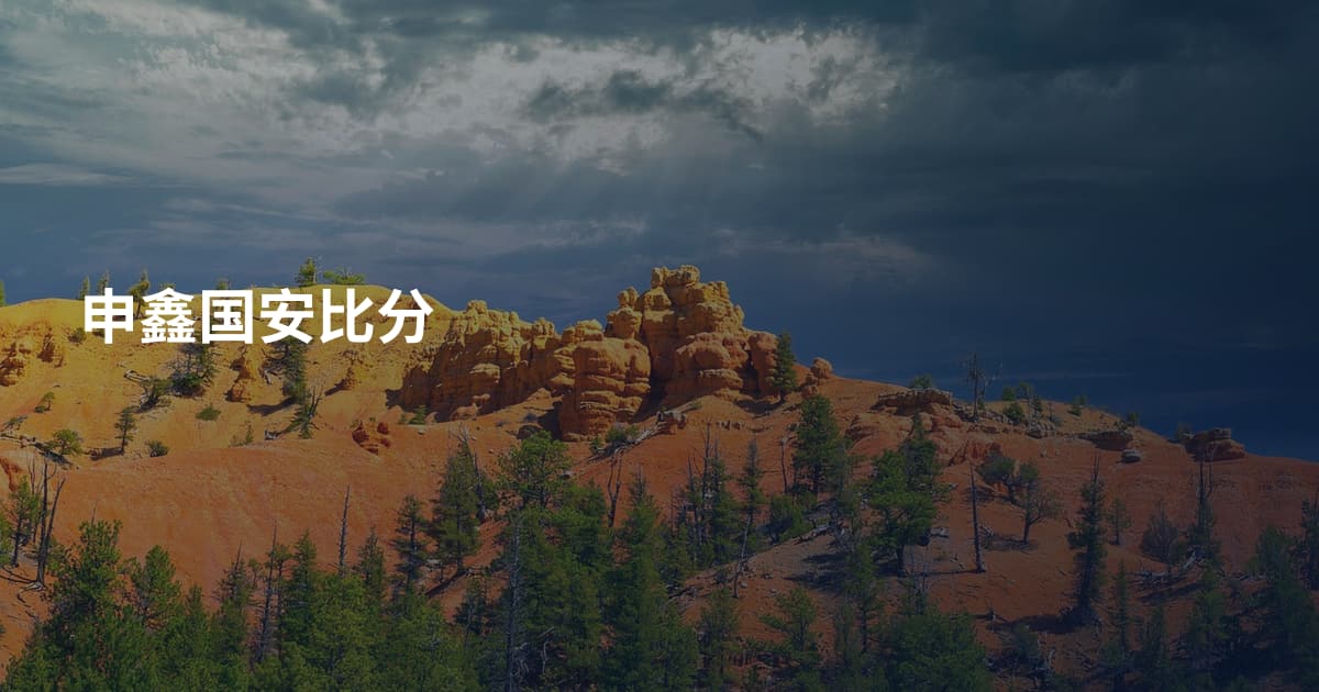 申鑫国安比分