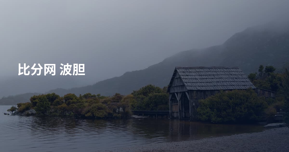 比分网 波胆