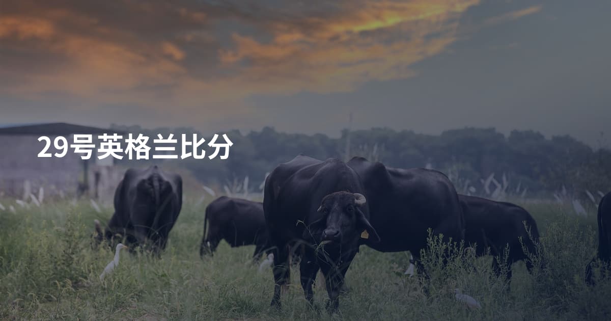 29号英格兰比分