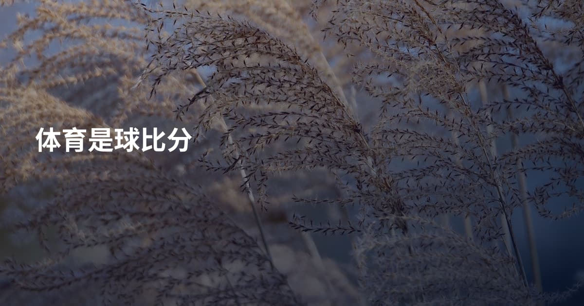 体育是球比分