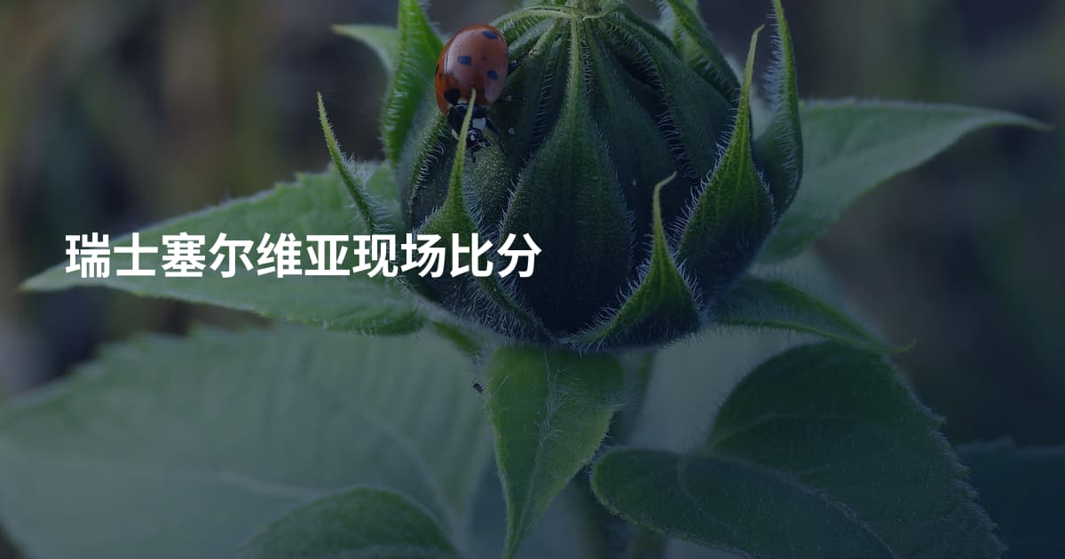 瑞士塞尔维亚现场比分