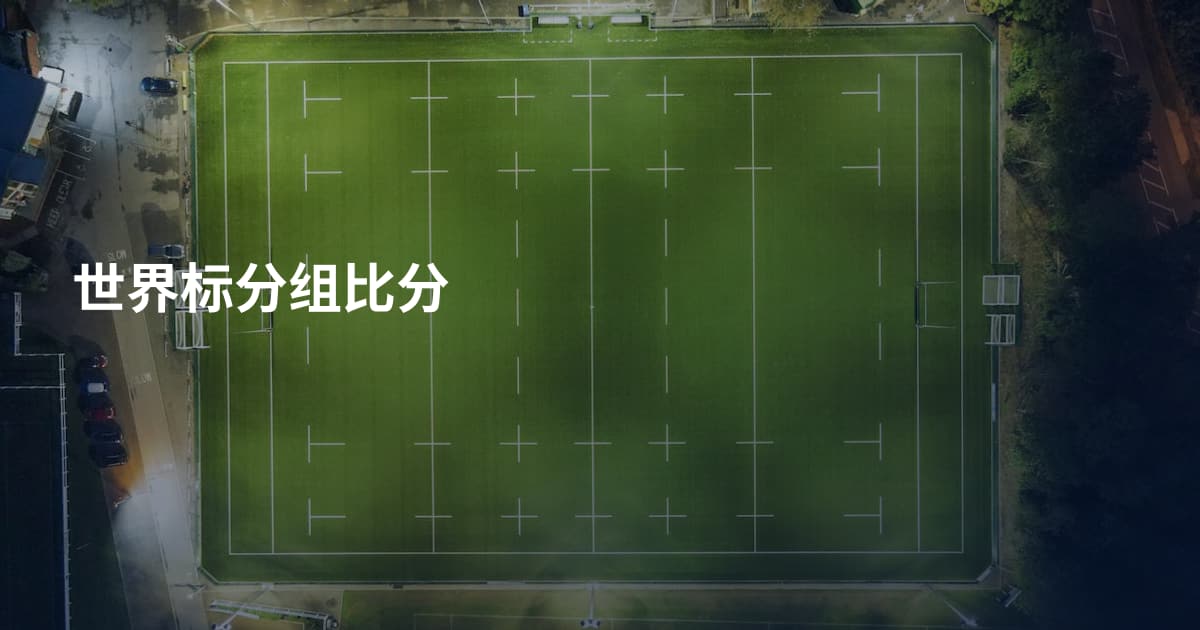世界标分组比分