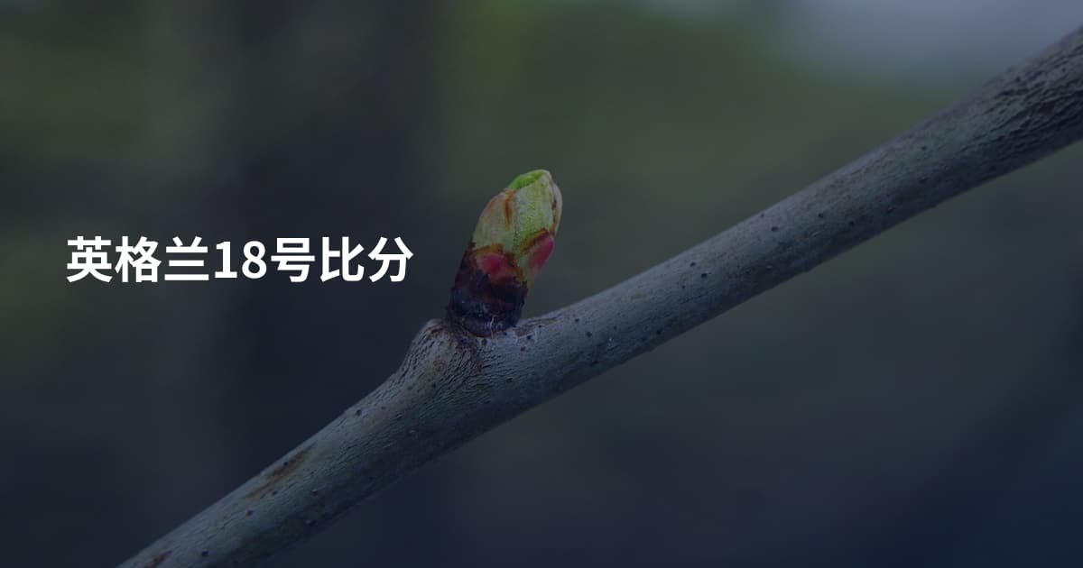 英格兰18号比分