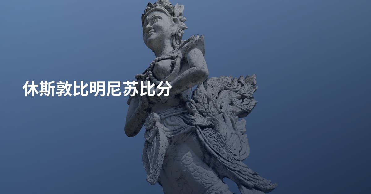休斯敦比明尼苏比分