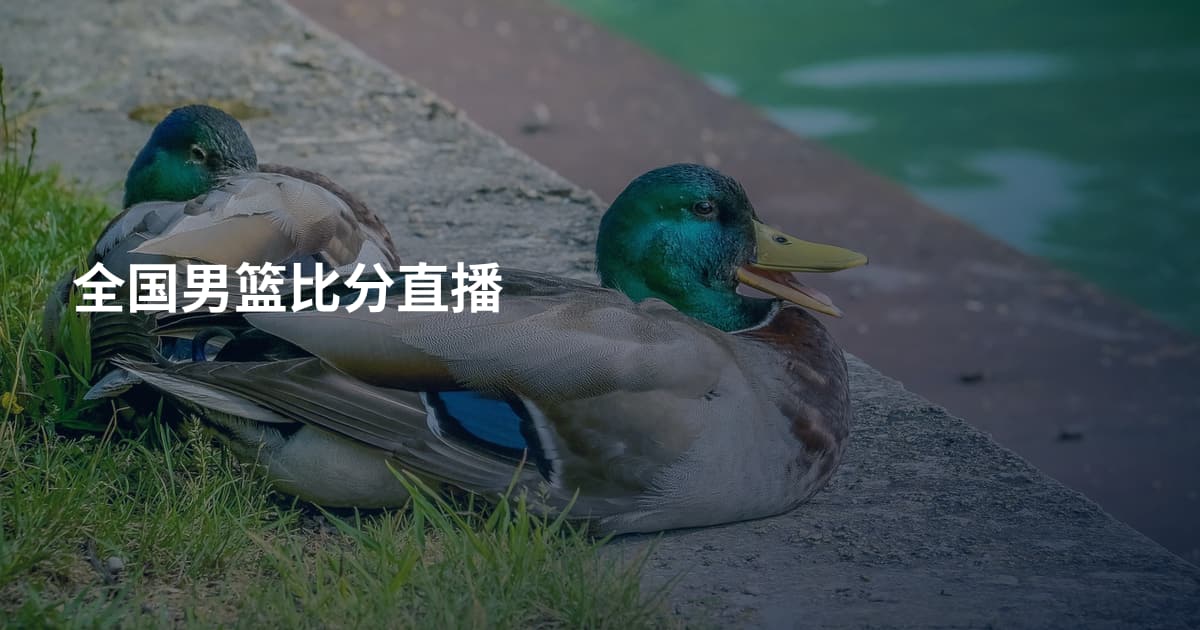 全国男篮比分直播