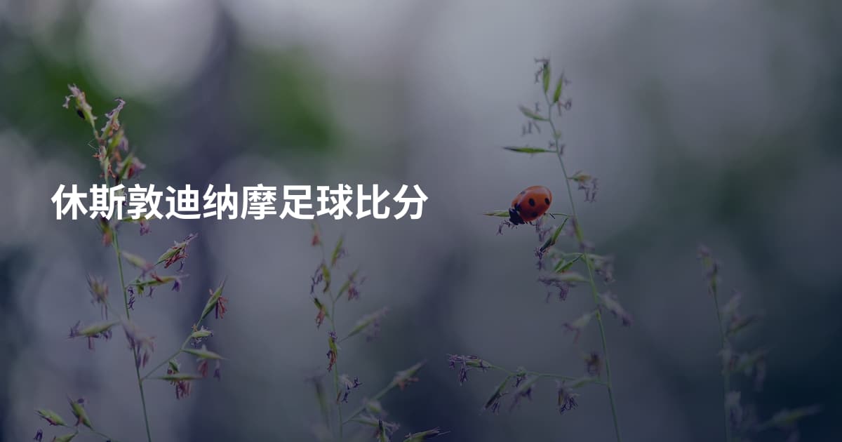 休斯敦迪纳摩足球比分