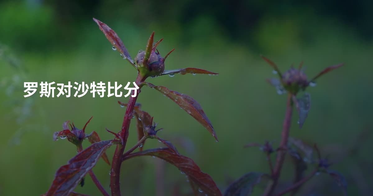 罗斯对沙特比分