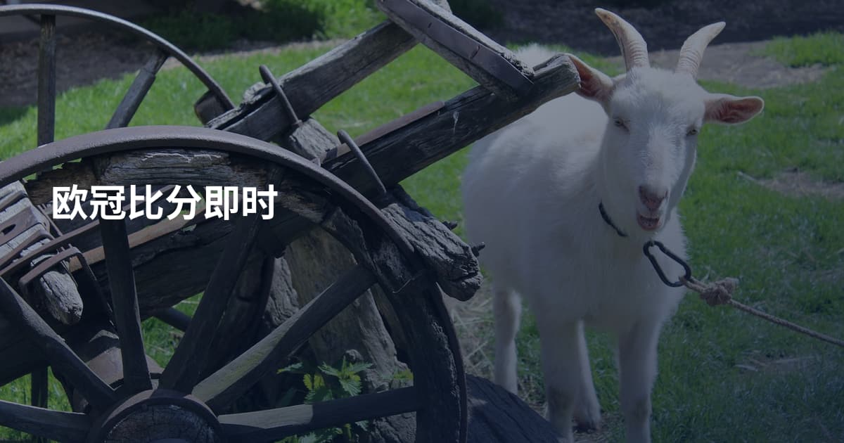欧冠比分即时