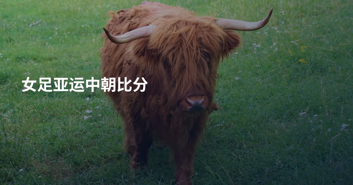 女足亚运中朝比分
