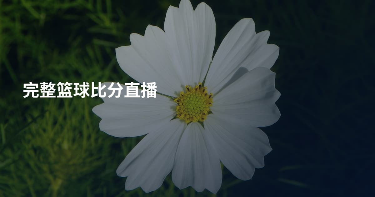 完整篮球比分直播
